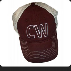 CW Brown Mesh Hat